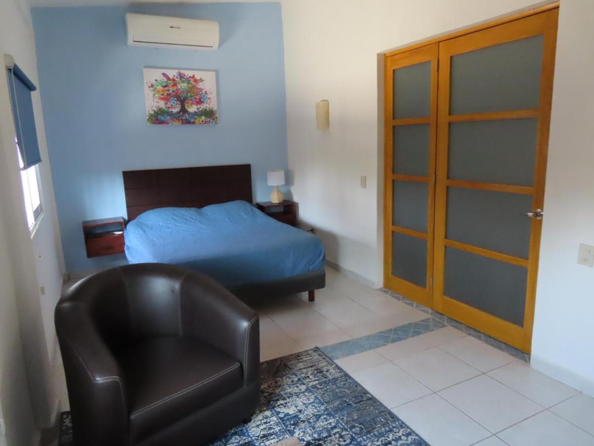 פוארטו ואלארטה Villa Palmier -Quiet Cosy Air Conditioned Terrace מראה חיצוני תמונה