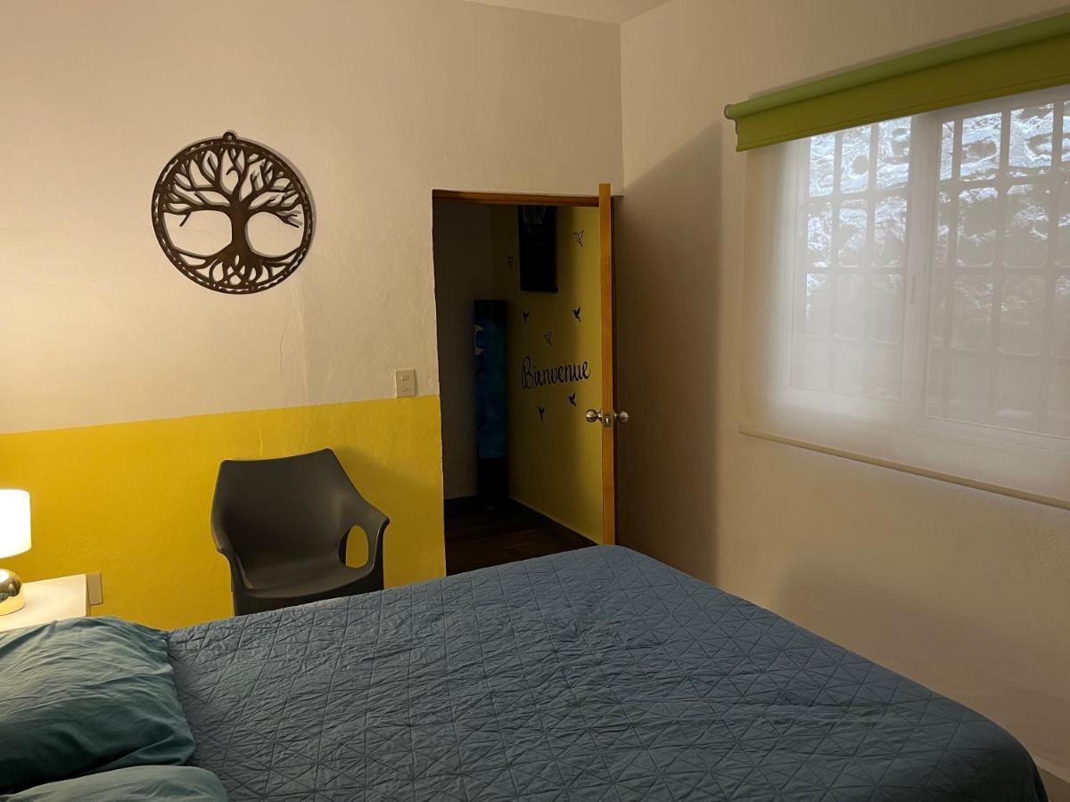 פוארטו ואלארטה Villa Palmier -Quiet Cosy Air Conditioned Terrace מראה חיצוני תמונה