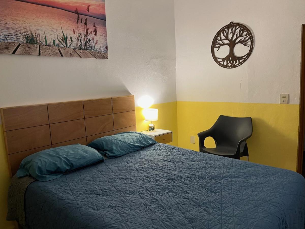 פוארטו ואלארטה Villa Palmier -Quiet Cosy Air Conditioned Terrace מראה חיצוני תמונה