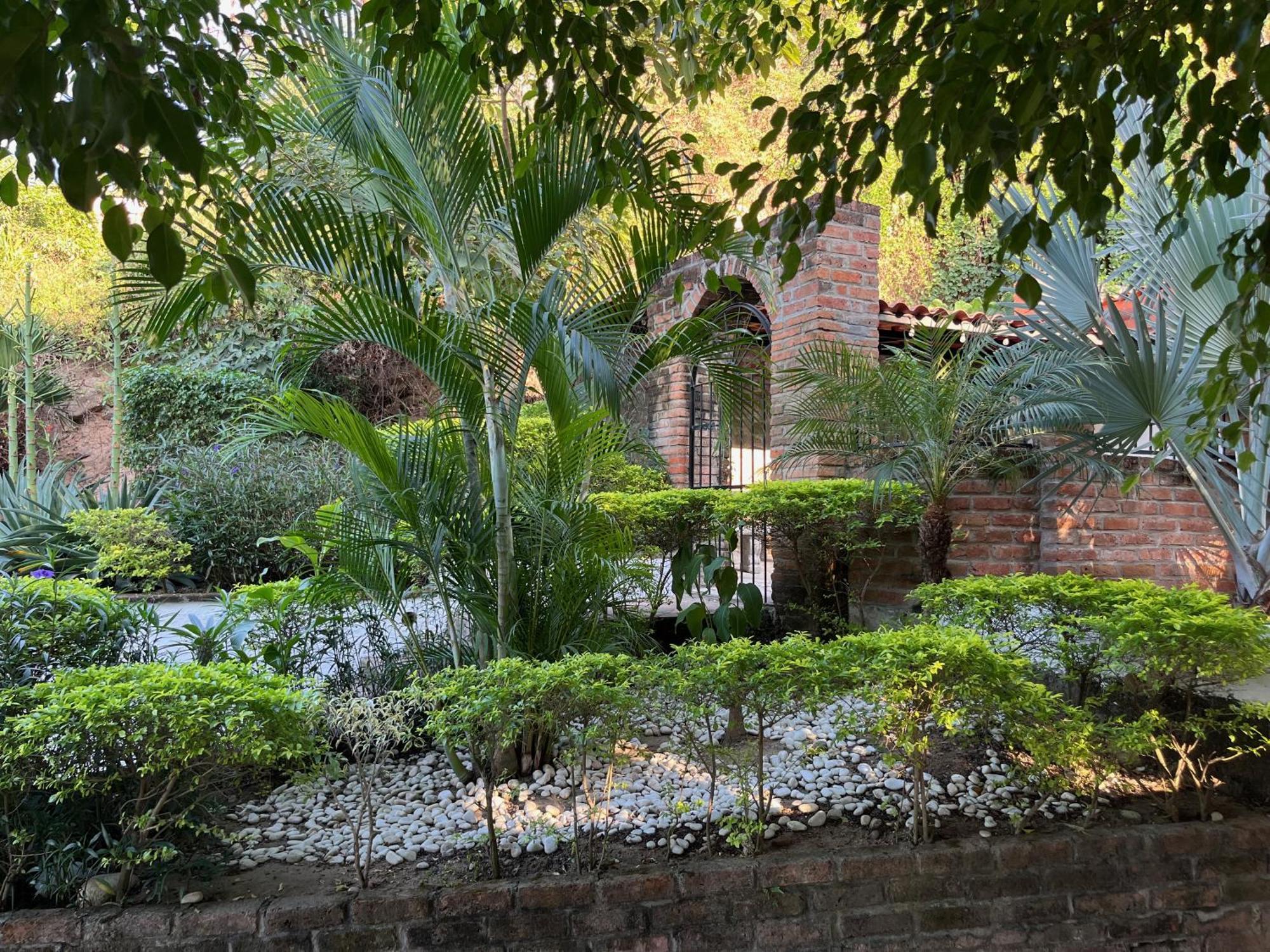 פוארטו ואלארטה Villa Palmier -Quiet Cosy Air Conditioned Terrace מראה חיצוני תמונה
